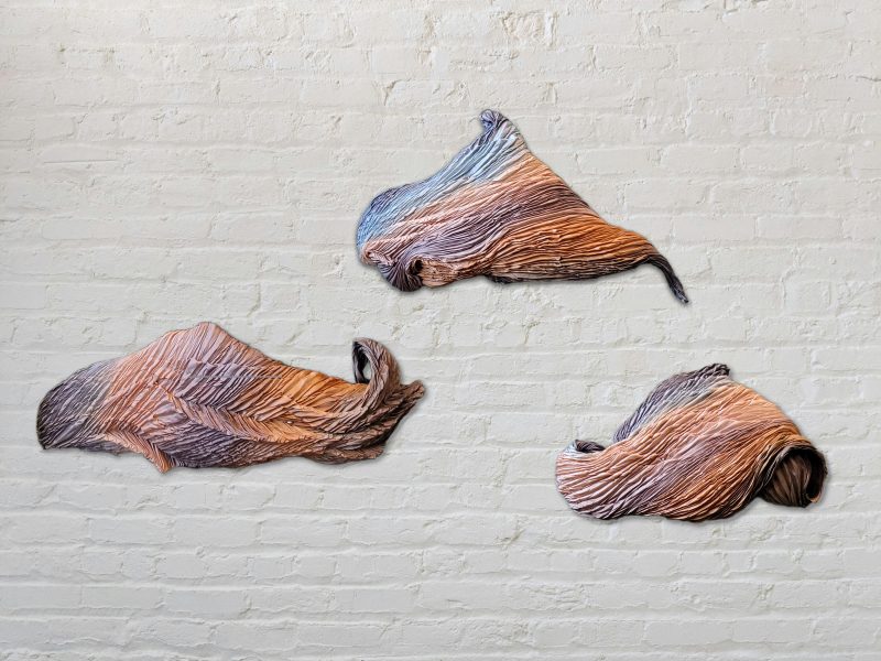 Sunlit Terrain Wall Art